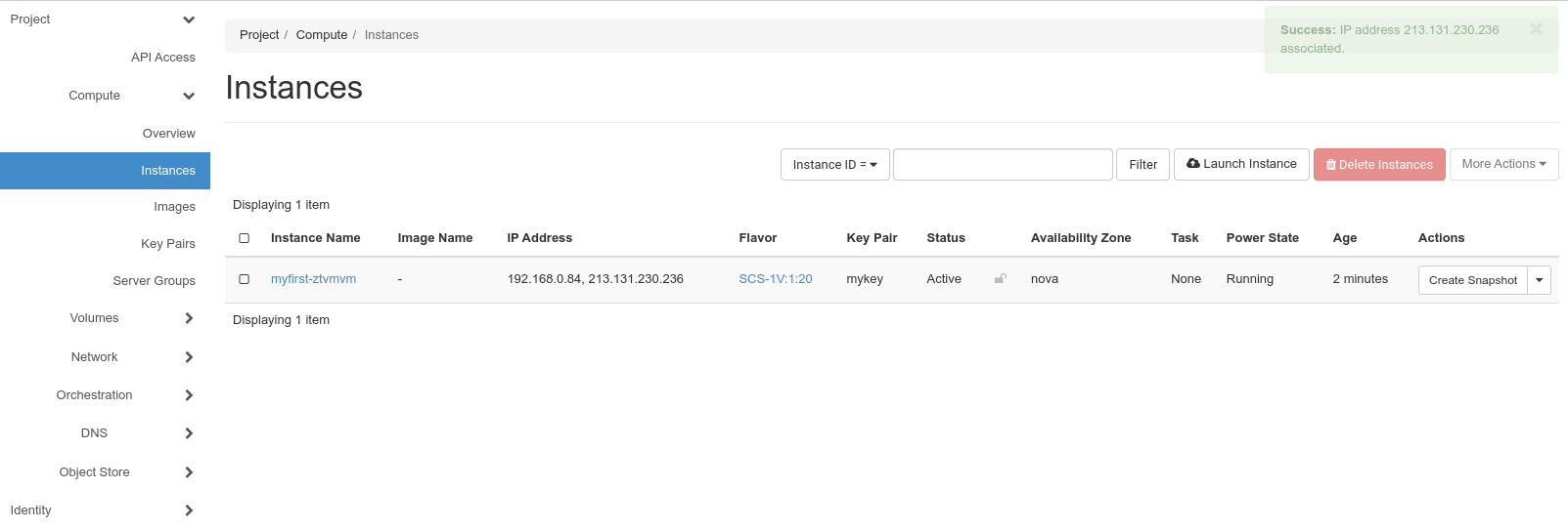Screenshot des Instanzenmenüs mit zugewiesener freier IP-Adresse