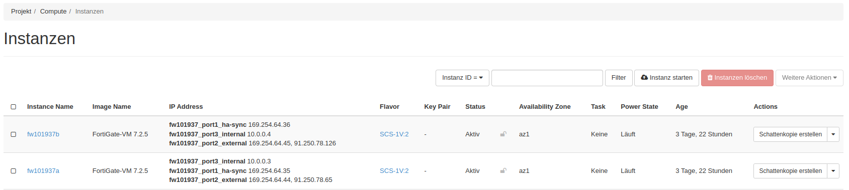 Overview of provided instances