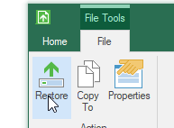 Screenshot:  Restore Button