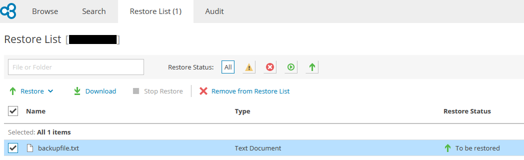 Screenshot: Backupfile.txt selected