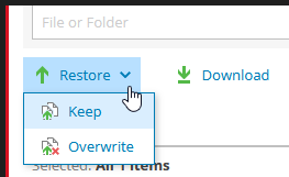 Screenshot: Restore Button - Keep or Overwrit