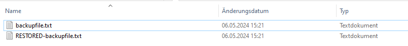 Screenshot:  Downloaded backup document