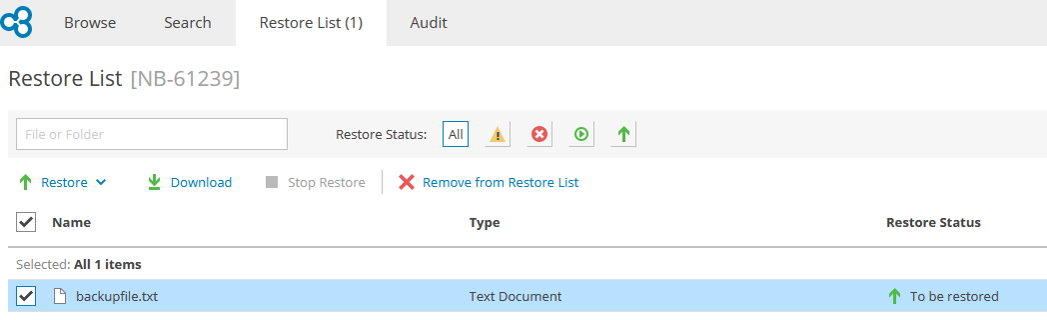 Screenshot: Backupfile.txt selected